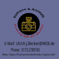 Presse | Humans and Animals - Photografs by Ulrich Becker