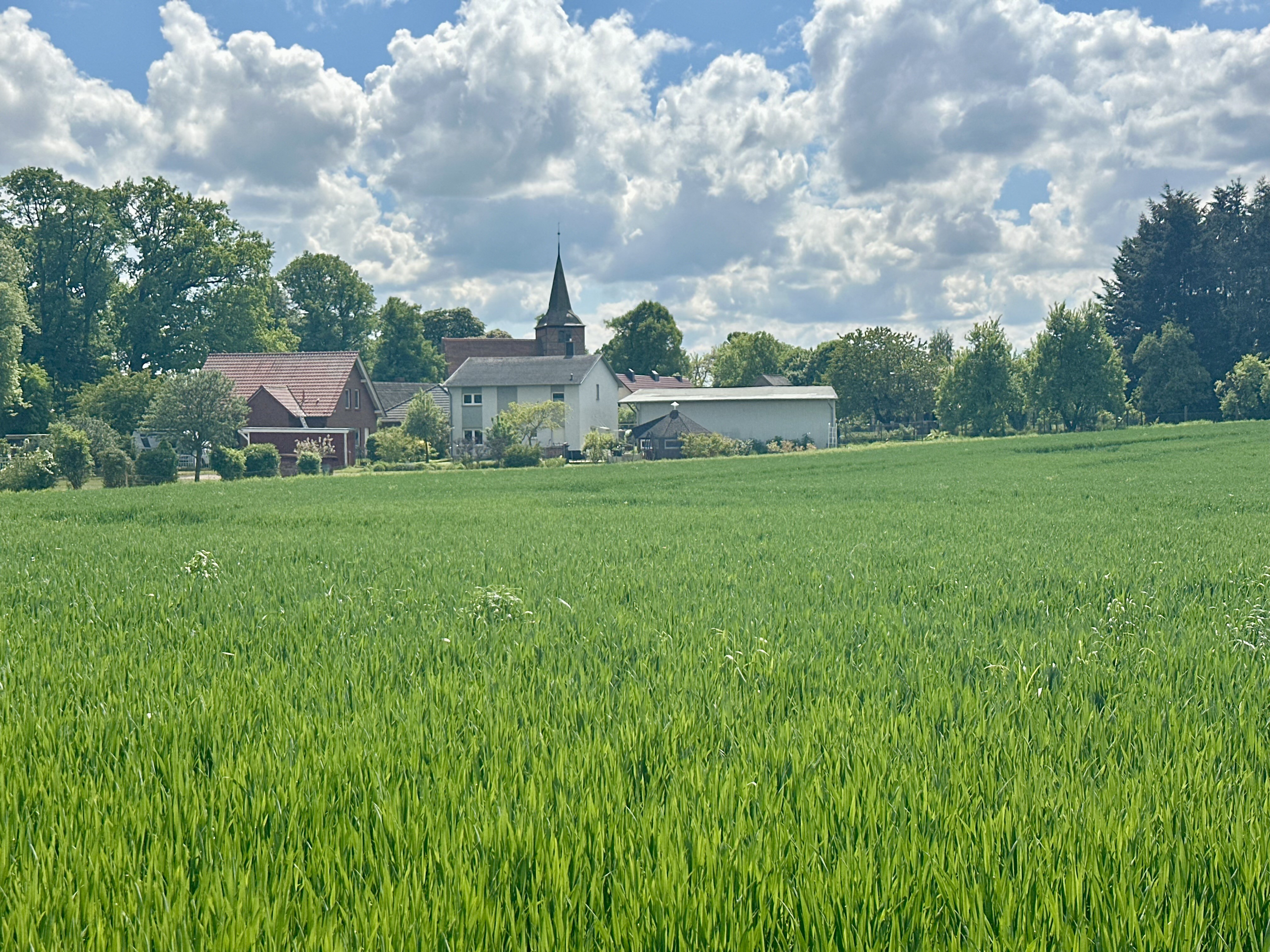 Durch die Felder in Sietow