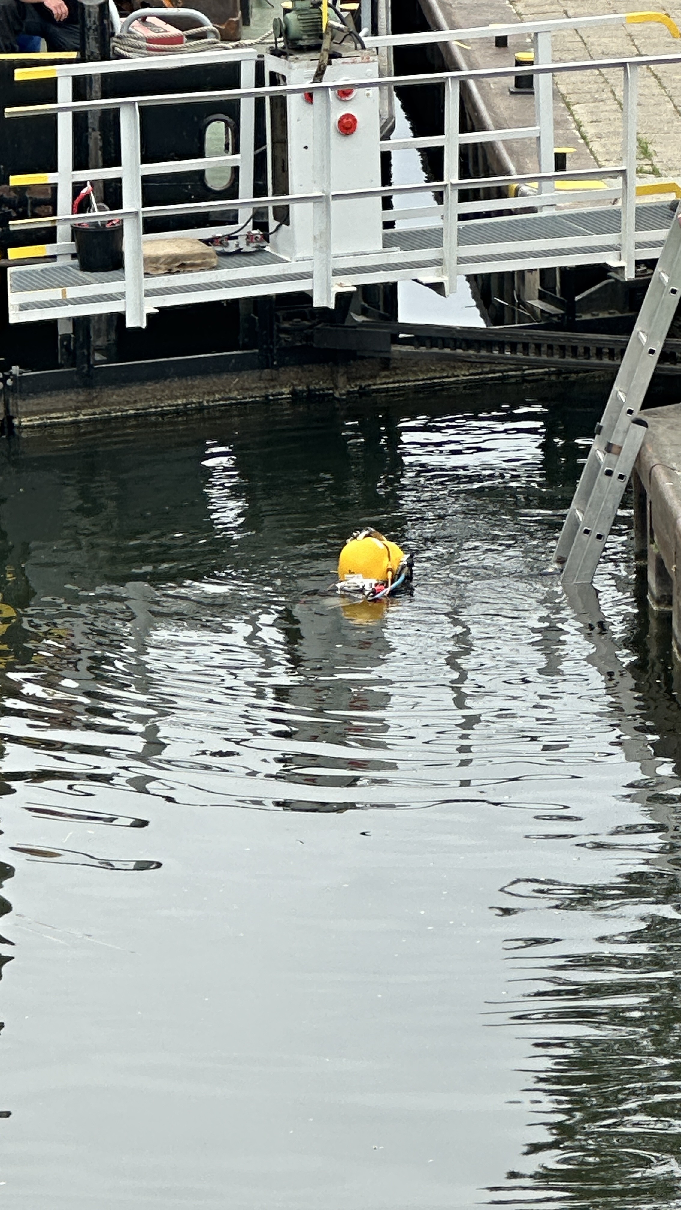 Schleuse Diemitz Taucher im Wasser