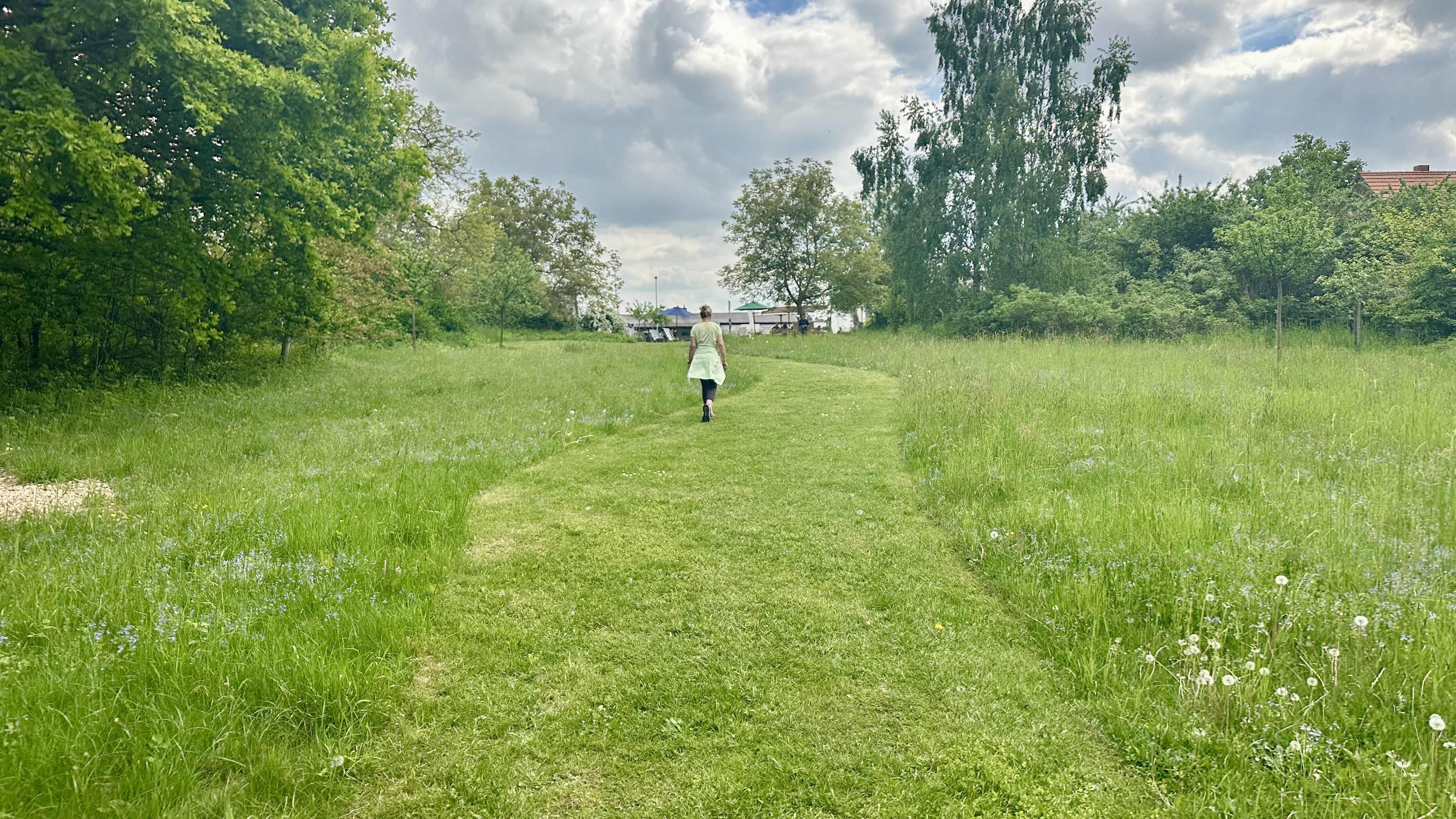 Blumenwiese Most & Kost Vilzsee Klein Seen Platte