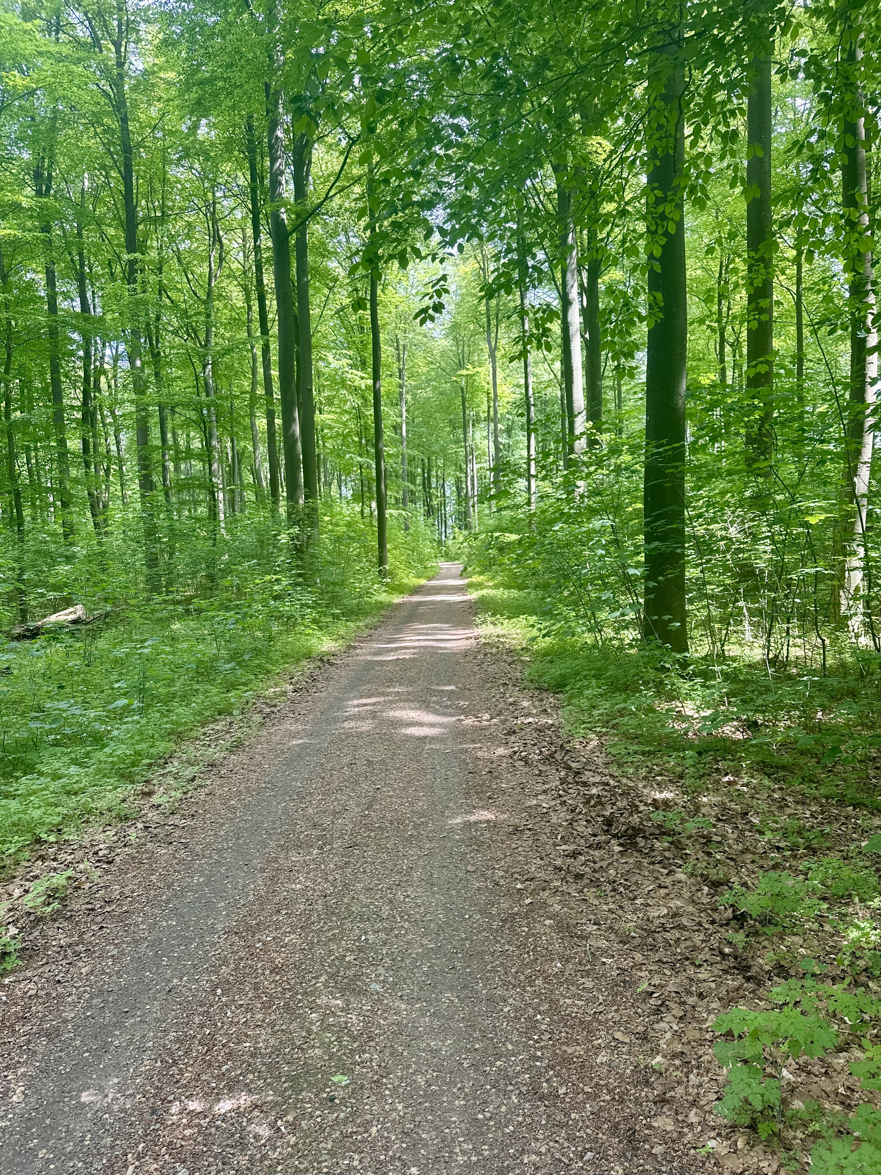 Wanderweg Sietow Müritz