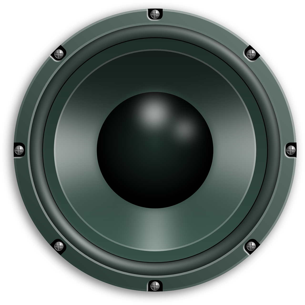 Bass