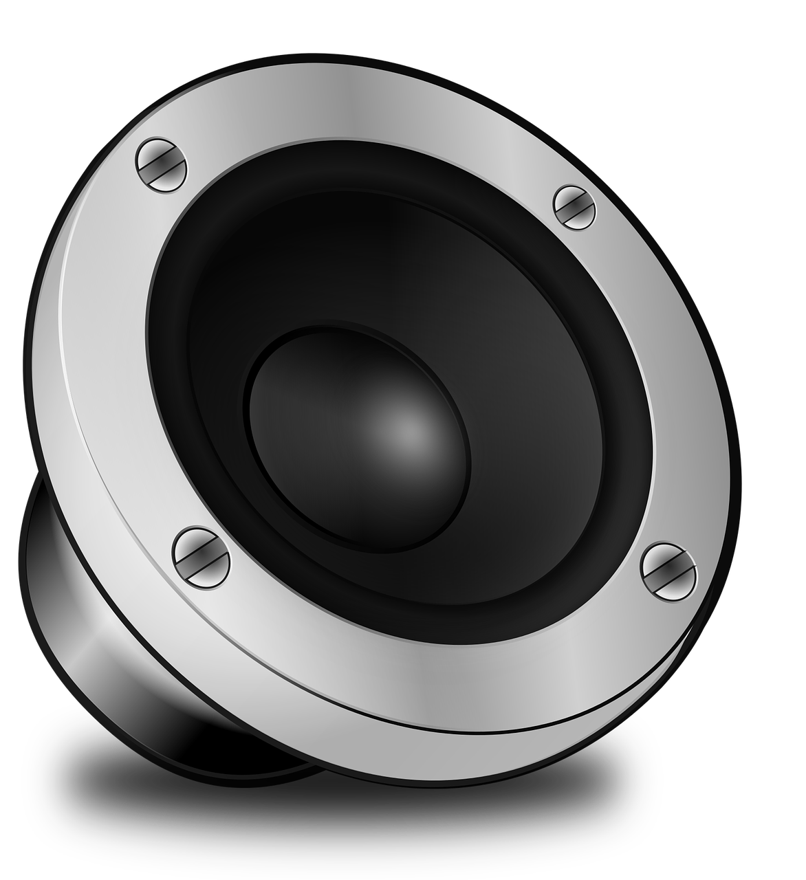 Bass