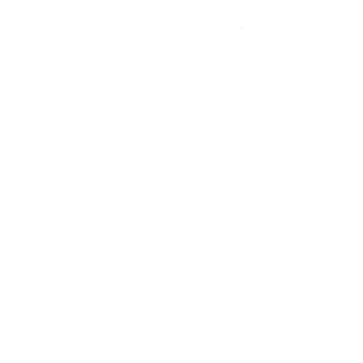 TikTok Icon