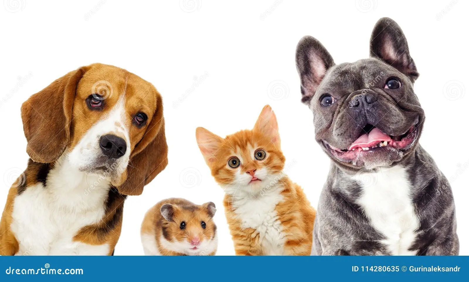 Unsere Produkte - Shop | PetParadise