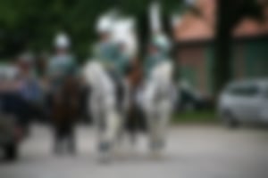 Pferd