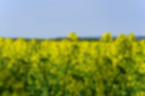 Biologische Spritzmittel