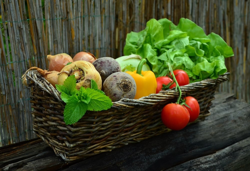 Obst und Gemüse aus eigenem Anbau