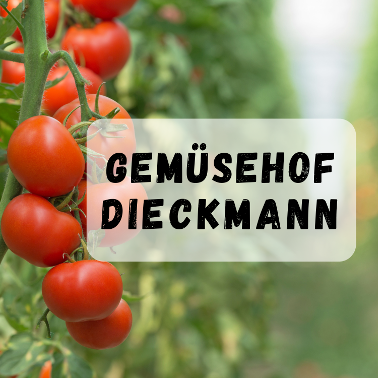 Logo Gemüsehof Dieckmann