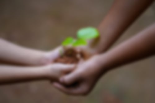 „Wir haben die Natur von unseren Eltern geerbt. Wir haben sie aber auch von unseren Kindern geliehen.“ - Richard von Weizsäcker