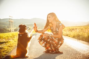 Impressum | Adventure Dogs Sandra Holl