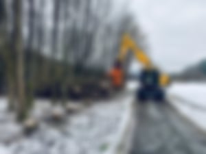 Bagger Fällgreifer_01