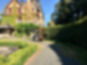 Heckenschnitt_05