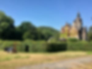 Heckenschnitt_04
