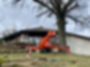 Baumpflege_02