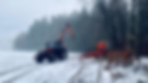 Baumpflege_03