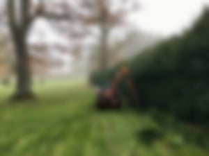 Heckenschnitt_02