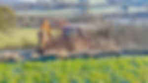 Forstmulchen_03