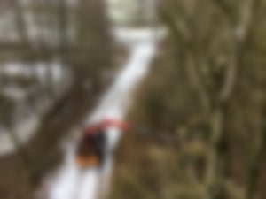 Baumpflege_06