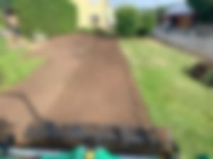 Pflanzung und Ansaat_02
