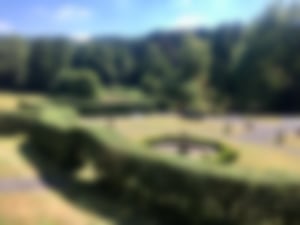 Heckenschnitt_04