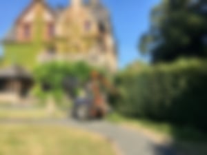 Heckenschnitt_03