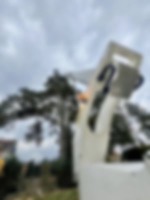 Baumpflege_05