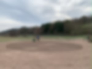 Pflanzung und Ansaat_01