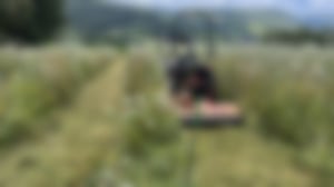 Mulchen_09