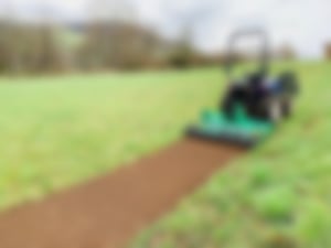 Pflanzung und Ansaat_01