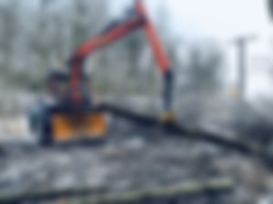 Baumfällung_04