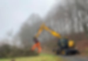 Bagger Fällgreifer_06