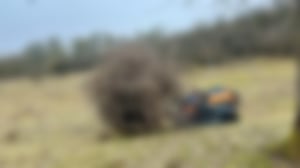 Ferngesteuerte Raupen_17