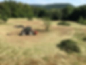 Mulchen_03