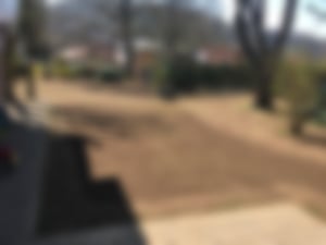 Pflanzung und Ansaat_03