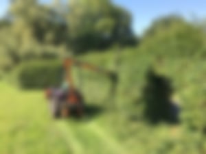 Heckenschnitt_02