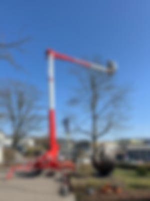 Baumpflege_07
