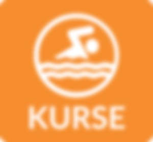 Icon Kurse, orange
