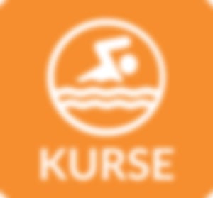 Icon Kurse, orange