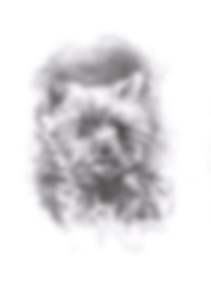 Katja Dahms, Auftragsarbeit, Bleistiftzeichnung