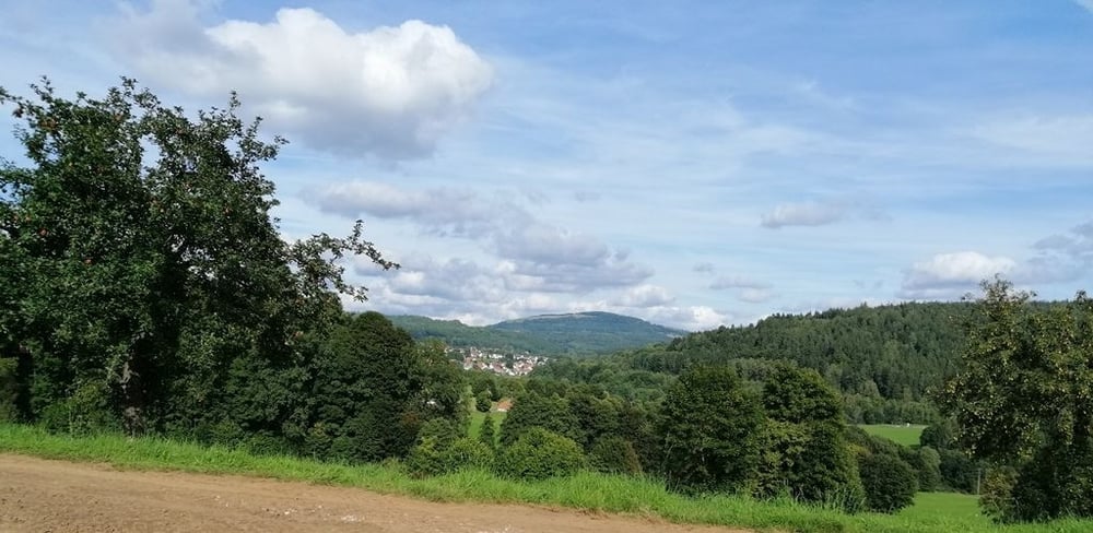 Blick vom Stellplatz  zum Arnsberg